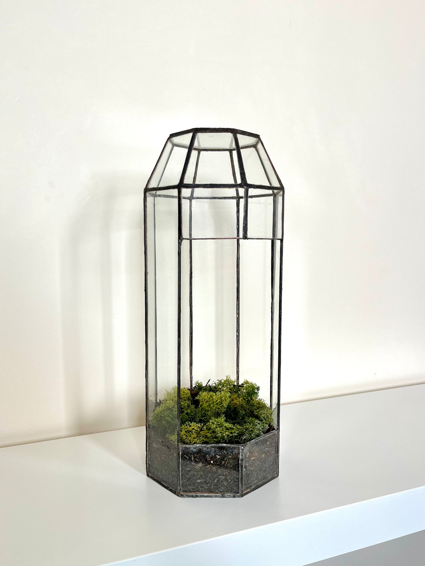 Handmade Glass Tall Plant Terrarium