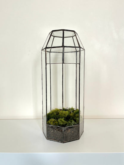 Handmade Glass Tall Plant Terrarium