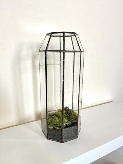 Handmade Glass Tall Plant Terrarium