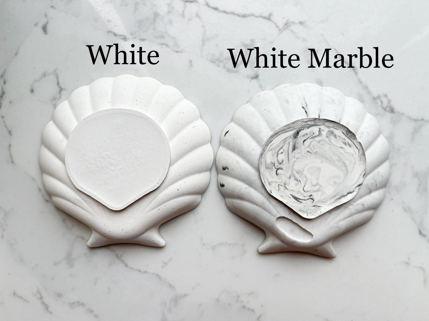 Perfectly Imperfect Shell Trinket Tray