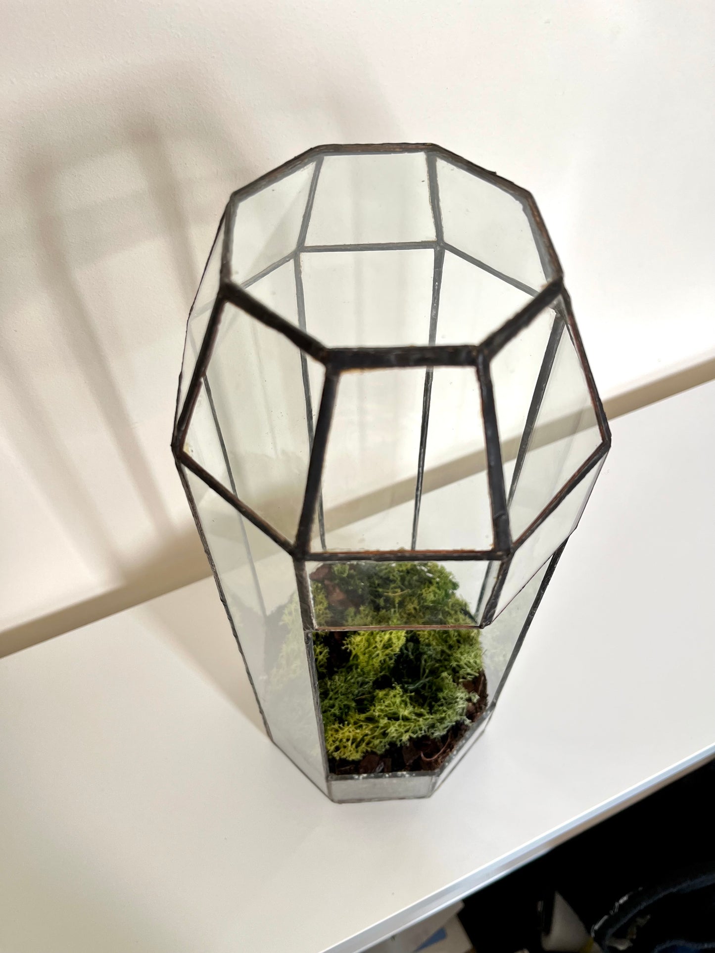 Handmade Glass Tall Plant Terrarium