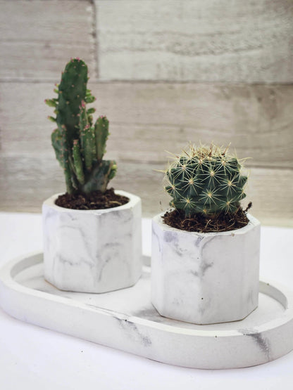 Small Hexagonal Concrete Cactus Plant Pot / Tealight Holder