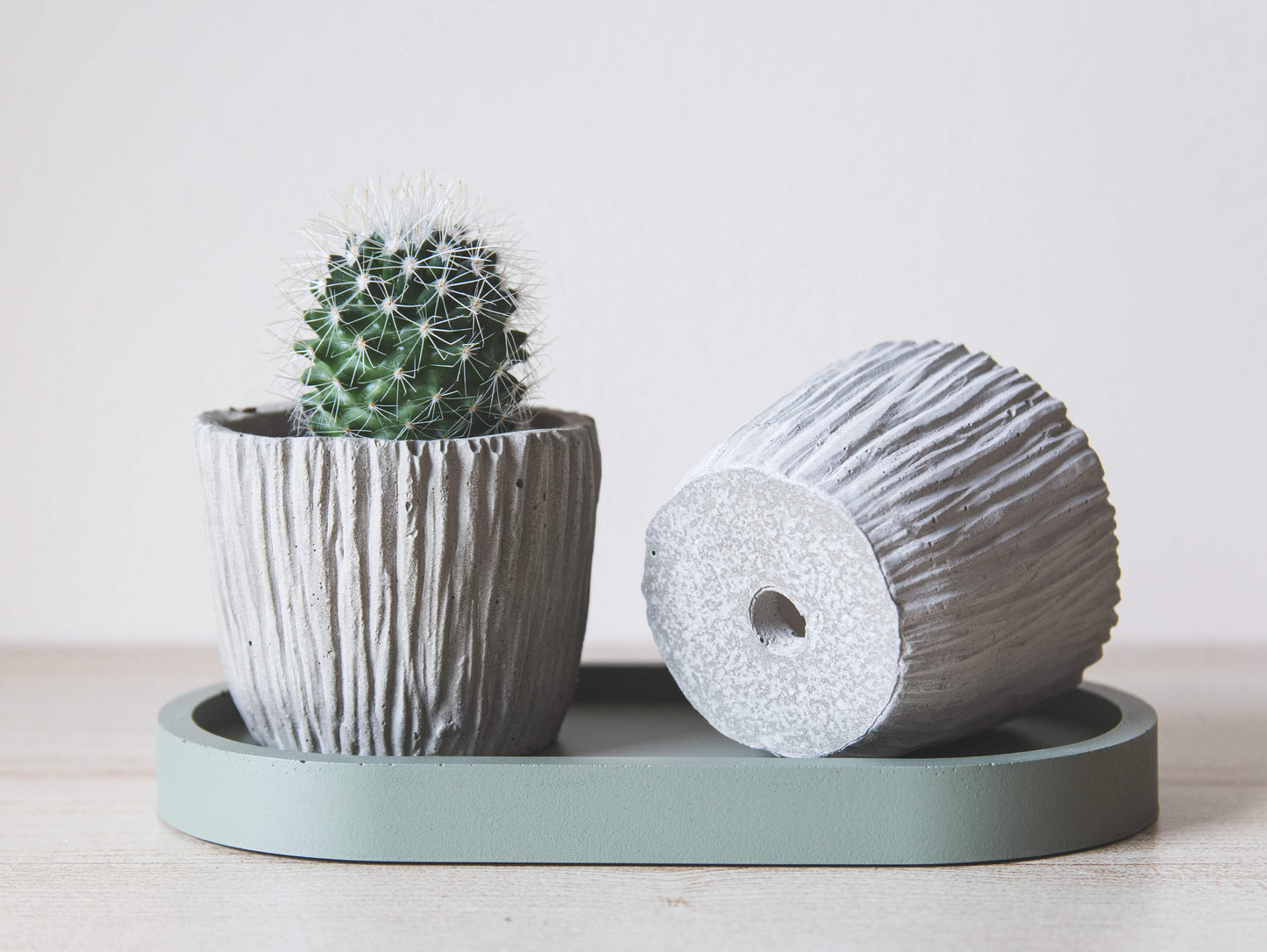 Small Concrete Plant Pot