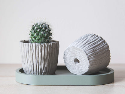 Small Concrete Plant Pot