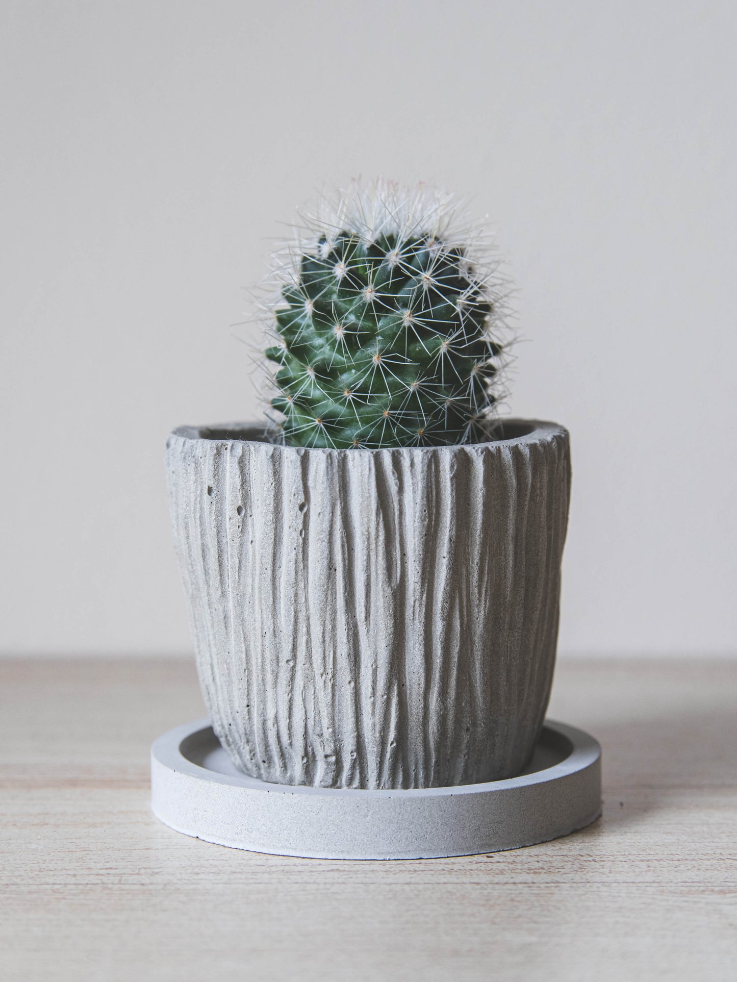 Small Concrete Plant Pot