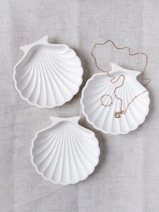 Shell Trinket Tray