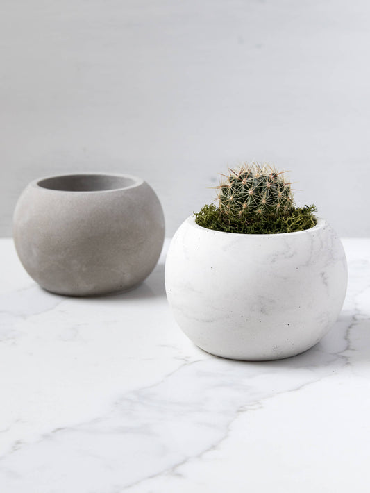 Small Round Plant Pot for Cactuses and Succulents