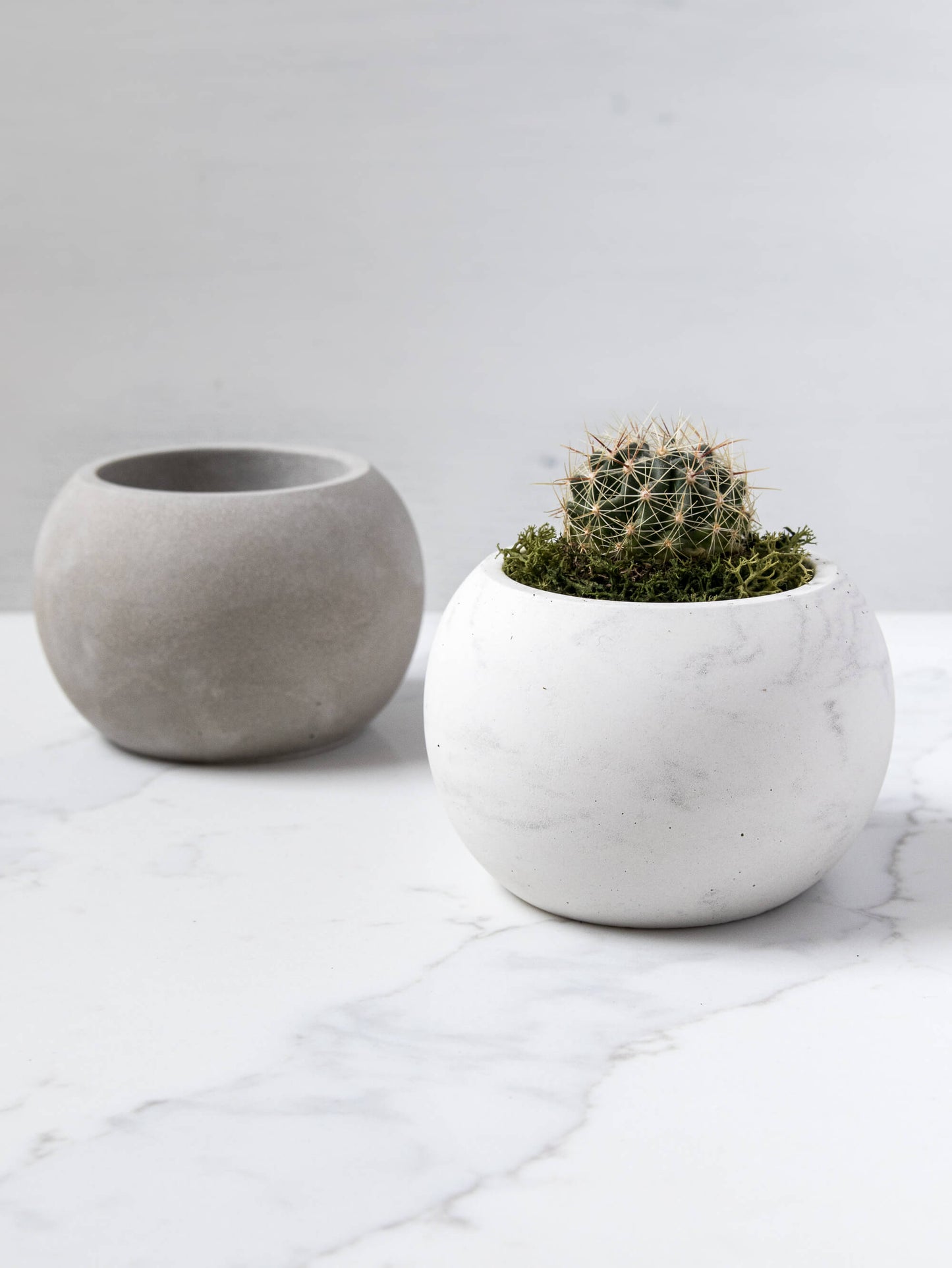 Small Round Plant Pot in Speckled White Granite Terrazzo