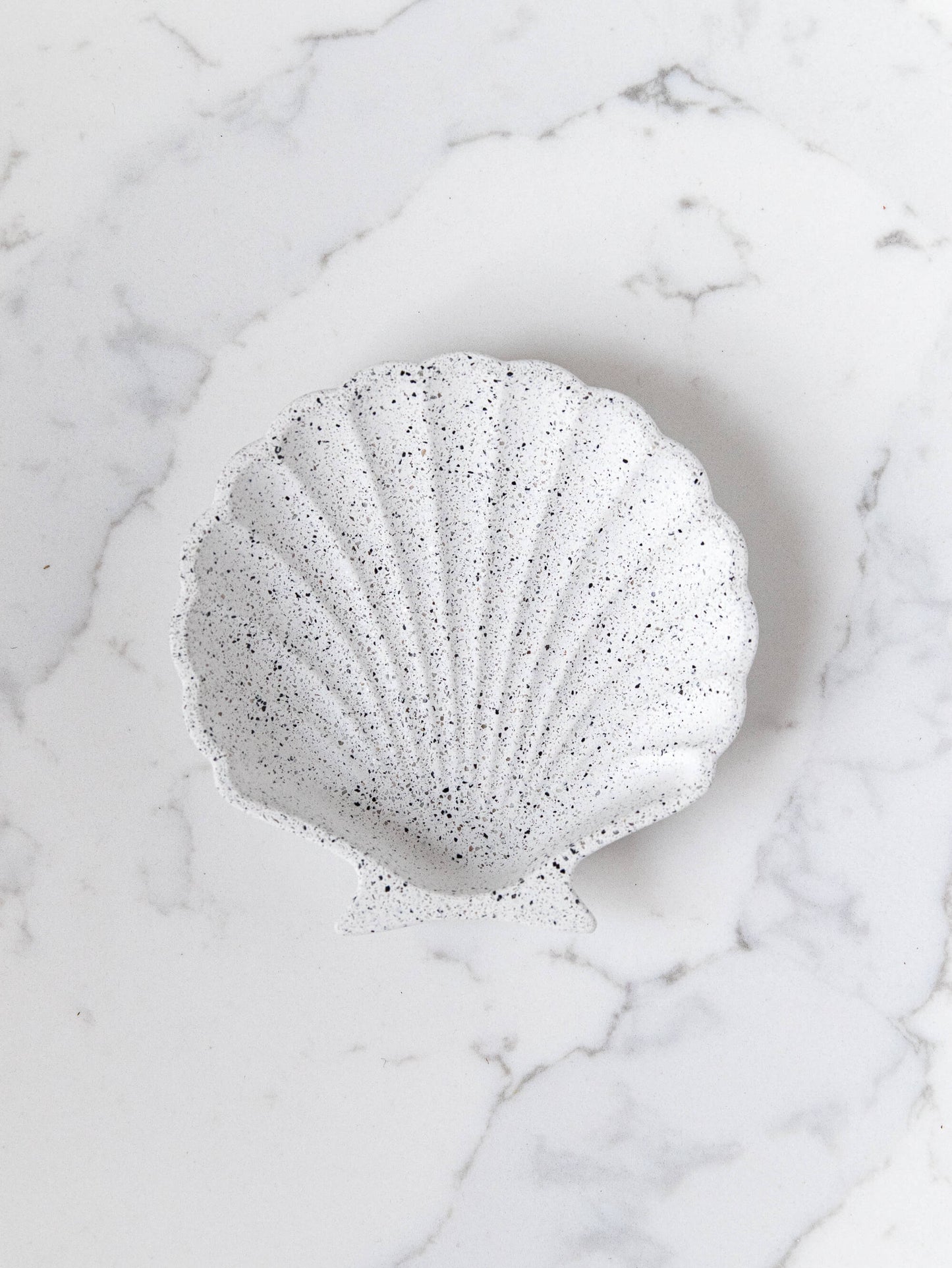 Shell Trinket Tray in Speckled White Granite Terrazzo