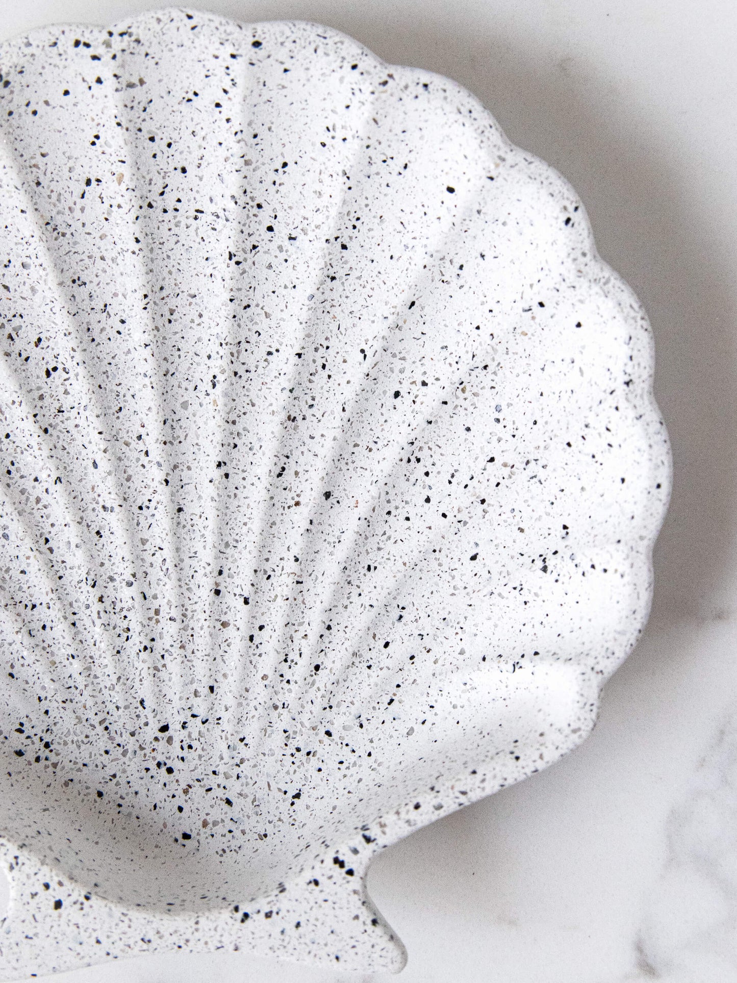 Shell Trinket Tray in Speckled White Granite Terrazzo